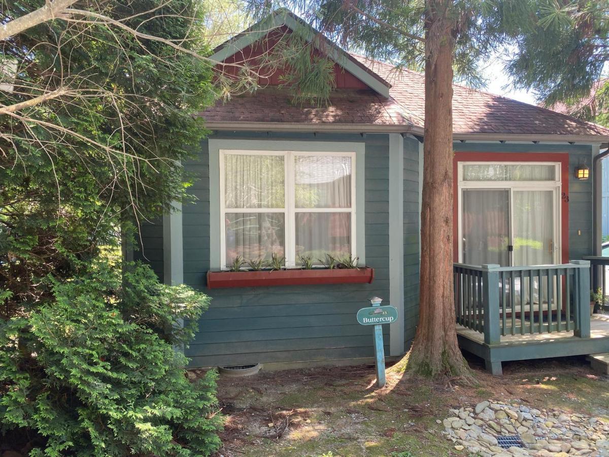 Buttercup Cottage Asheville Buitenkant foto
