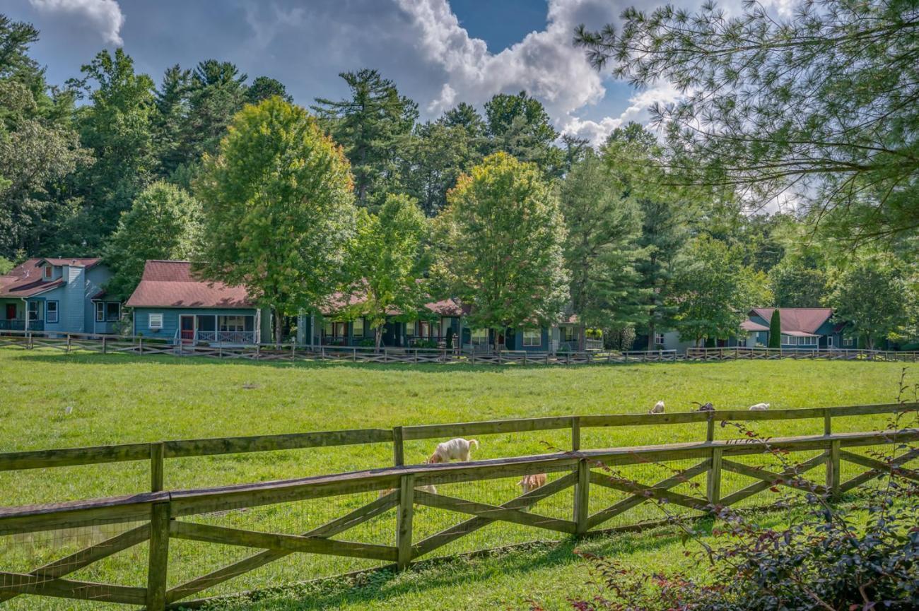 Buttercup Cottage Asheville Buitenkant foto