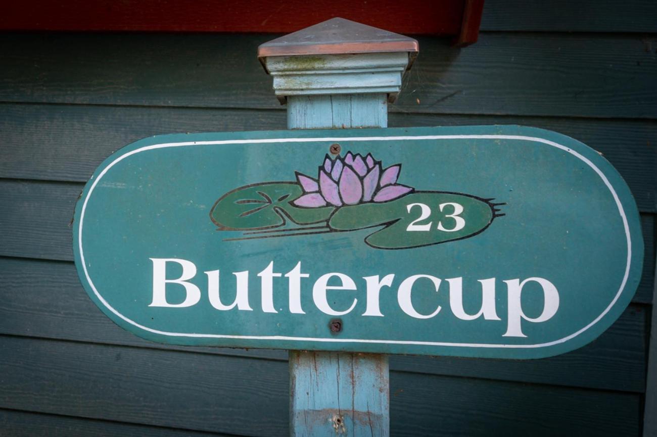 Buttercup Cottage Asheville Buitenkant foto