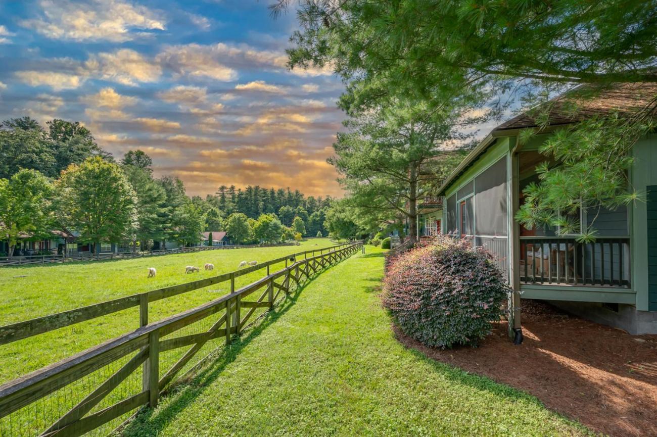 Buttercup Cottage Asheville Buitenkant foto